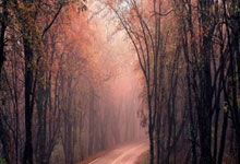 波尔图遭受拜仁压力，淘汰赛之路漫长