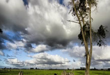热刺客场大胜水晶宫，重返前四位置