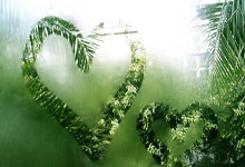 国际足联女足世界杯决赛，中国队与巴西上演较量