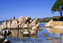 法甲联赛中一支劲旅表现低迷，怎么了？